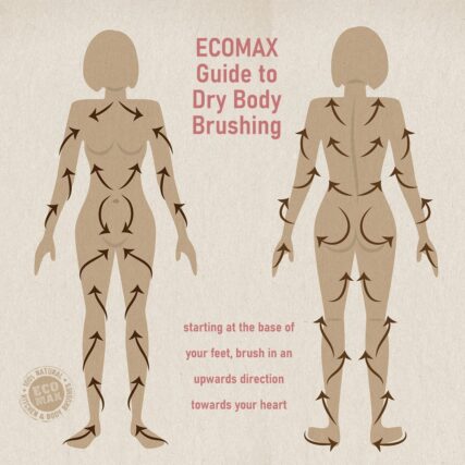 Ecomax guide to body brushing with arrows on bodies