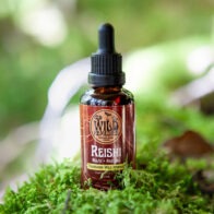 Wild Remedies - Wild Harvest Reishi 50ml