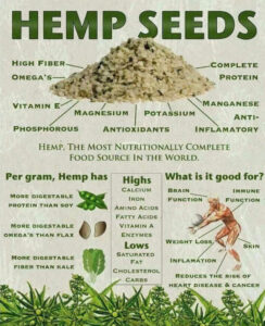 Hemp seeds infographic with benefits, uses and breakdown