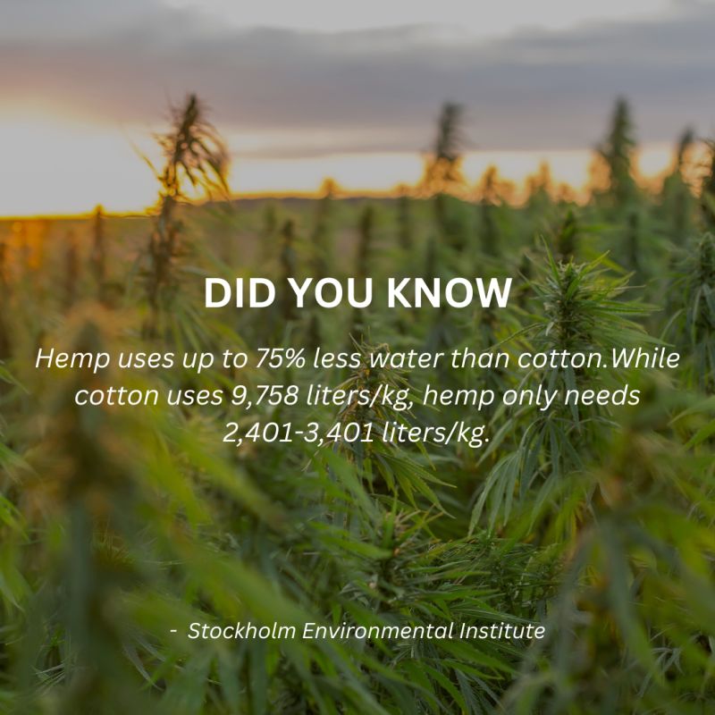 picture of hemp field with did you know question about water use of hemp plant vs cotton